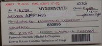 Image Associated With the Occurence